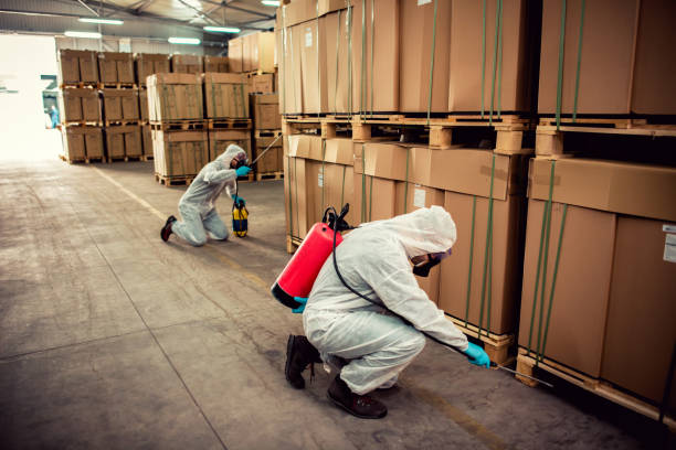 Best Mosquito Control Services  in Garyville, LA