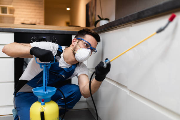 Best Best Pest Control Companies  in Garyville, LA