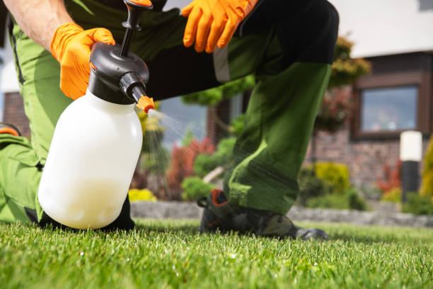 Professional Pest Control in Garyville, LA