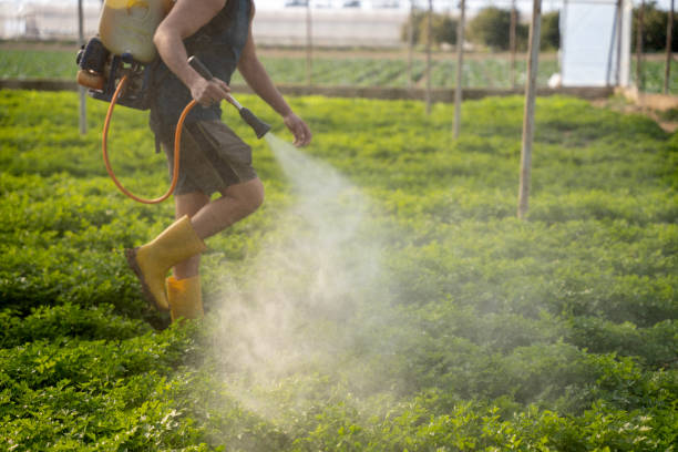 Best Mosquito Control Services  in Garyville, LA