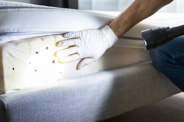 Best Affordable Pest Control Services  in Garyville, LA