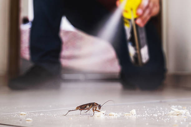 Best Mosquito Control Services  in Garyville, LA