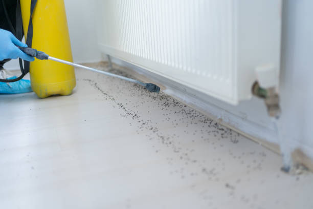 Best Residential Pest Control  in Garyville, LA