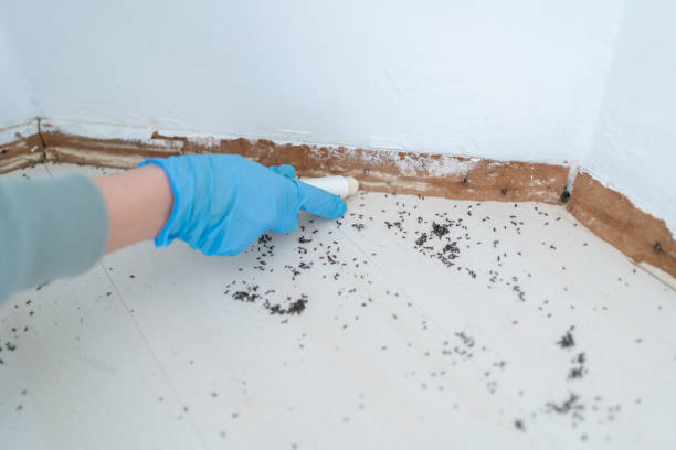 Best Exterminator Services  in Garyville, LA